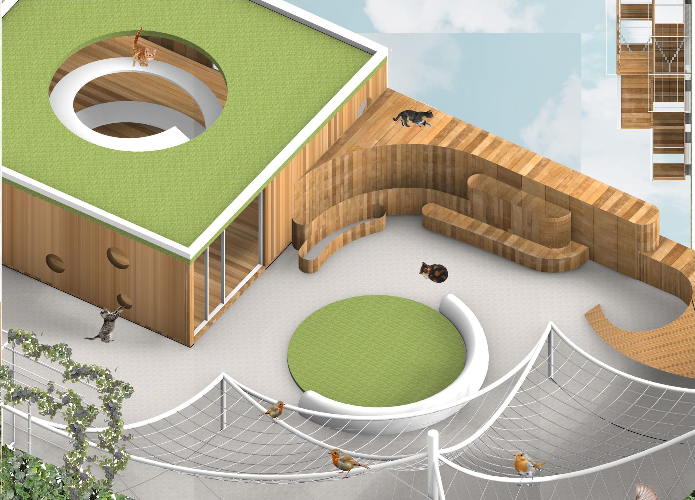 Axonometric render: a green roof with a round opening, wooden decks and cats