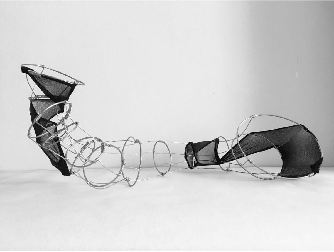 Physical model: rings and mesh, side view