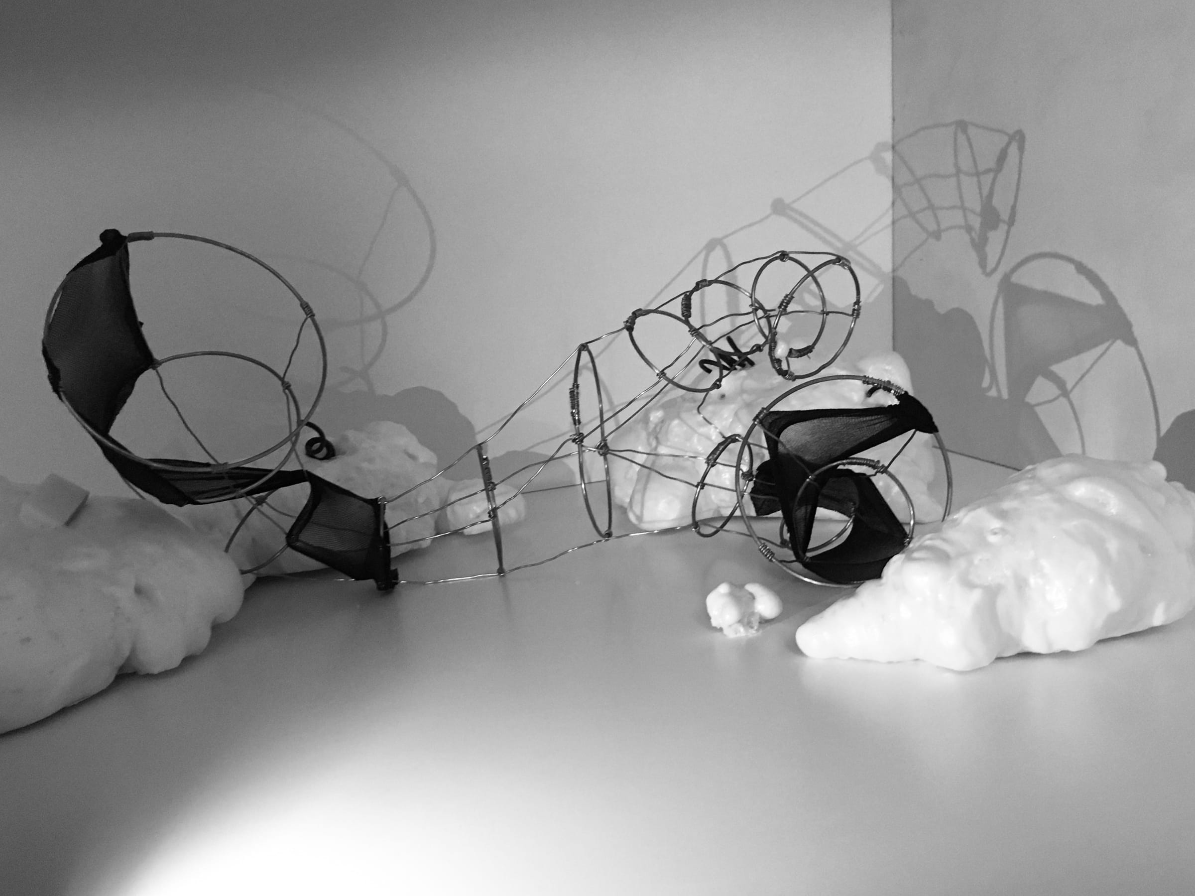 Physical model of RAGE: steel rings, mesh and cotton, photo 1 of 3