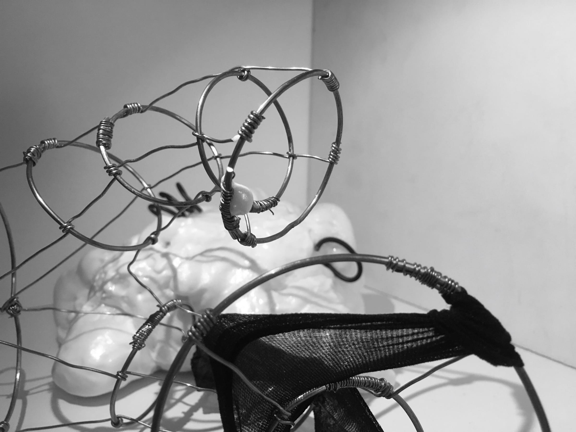 Physical model of RAGE: steel rings, mesh and cotton, photo 3 of 3