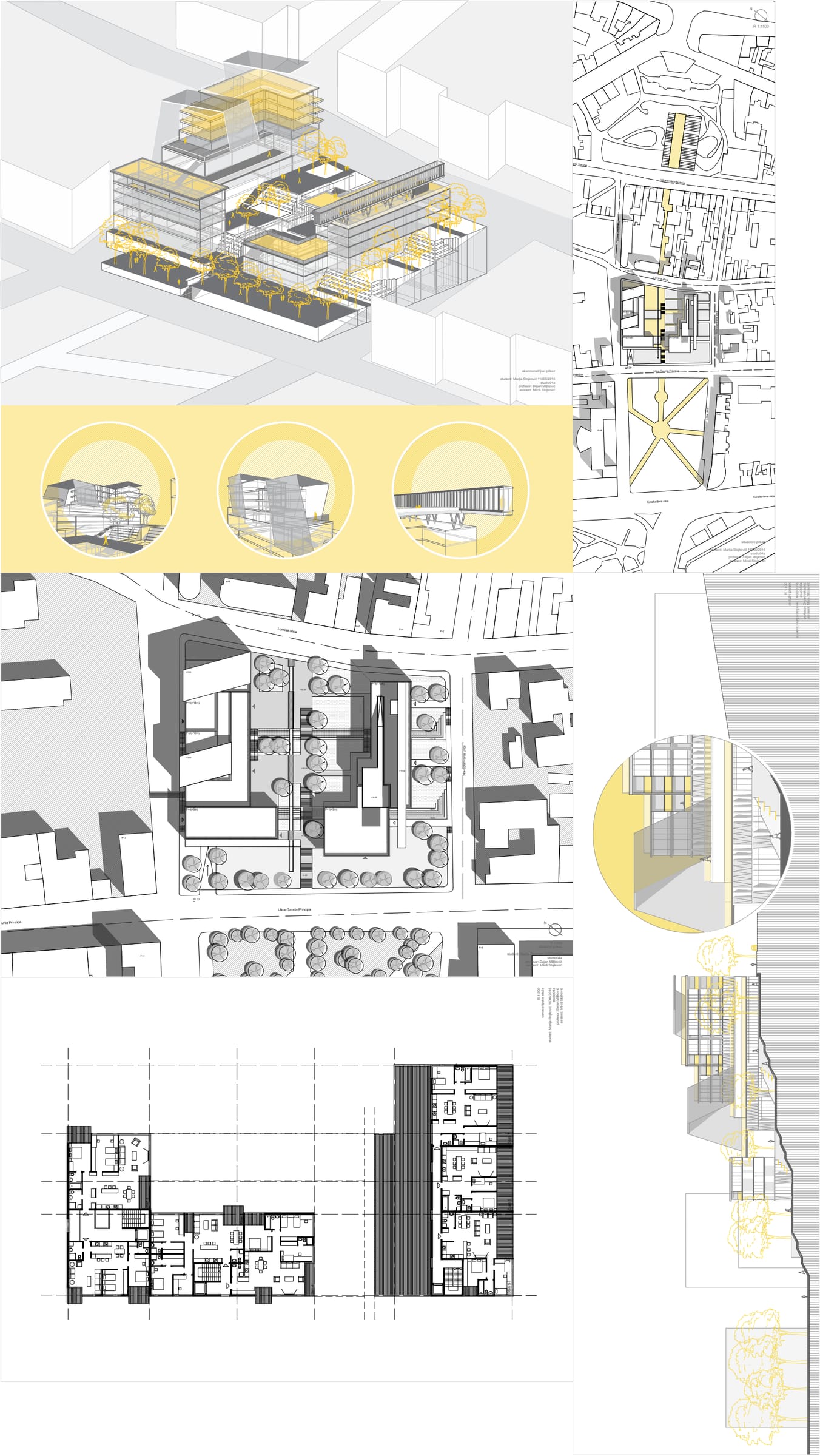 Board: site plan and longitudinal section